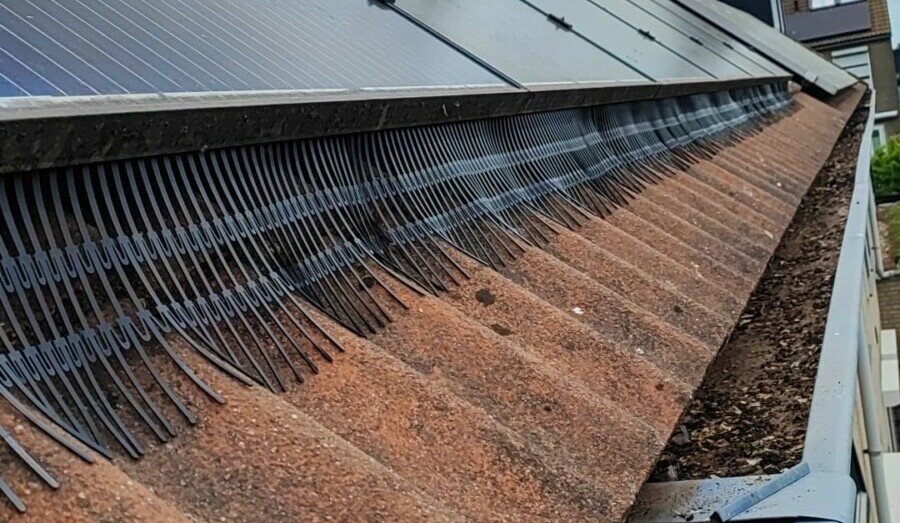 Vogelwering voor zonnepanelen
